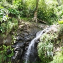 Grenada waterfall 1.jpg